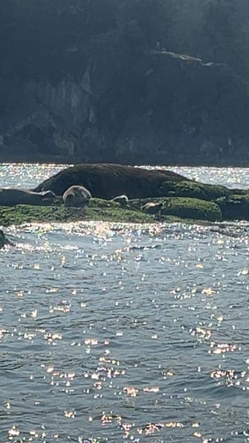 undefined Gallery Image 4