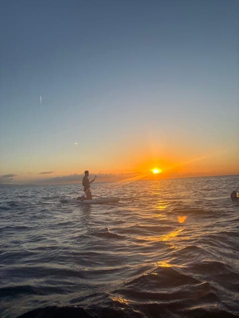 undefined Gallery Image 1