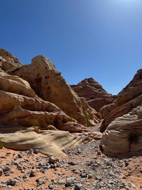 undefined Gallery Image 4