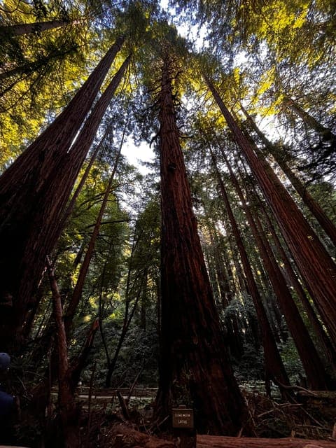 undefined Gallery Image 2