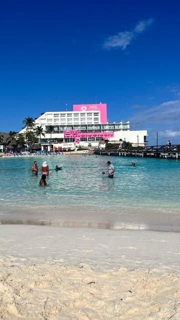 undefined Gallery Image 3