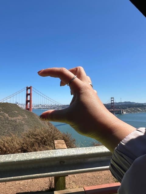 undefined Gallery Image 1