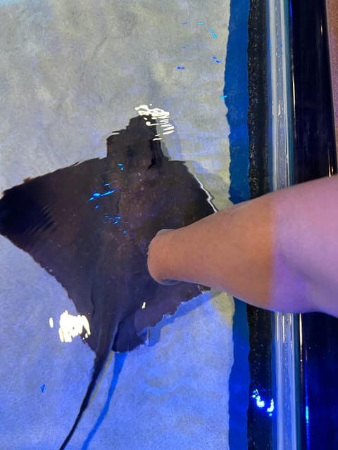 undefined Gallery Image 1