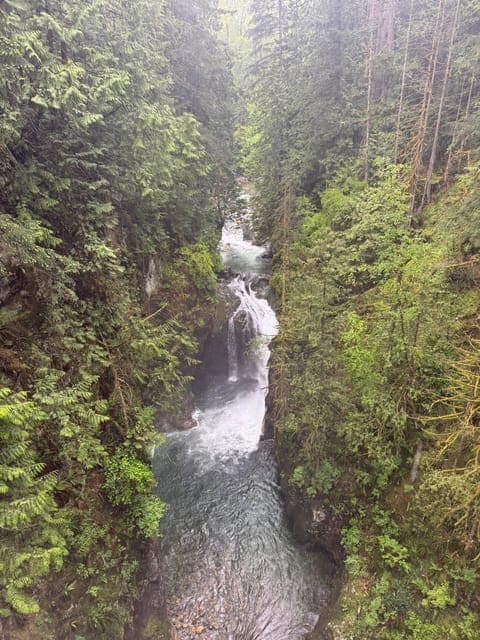 undefined Gallery Image 1