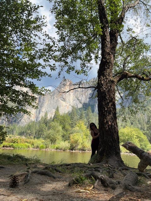 undefined Gallery Image 3