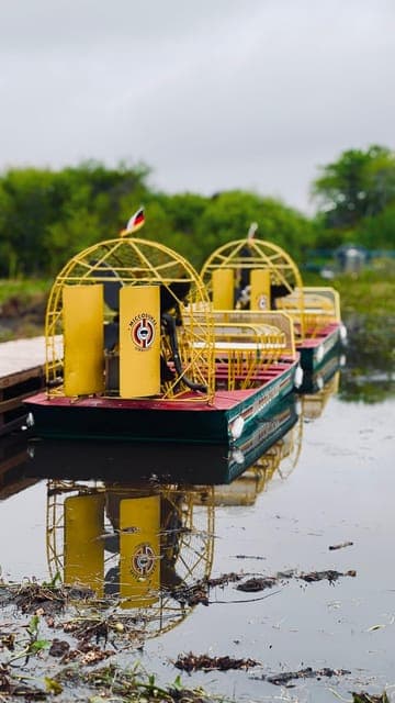 undefined Gallery Image 4