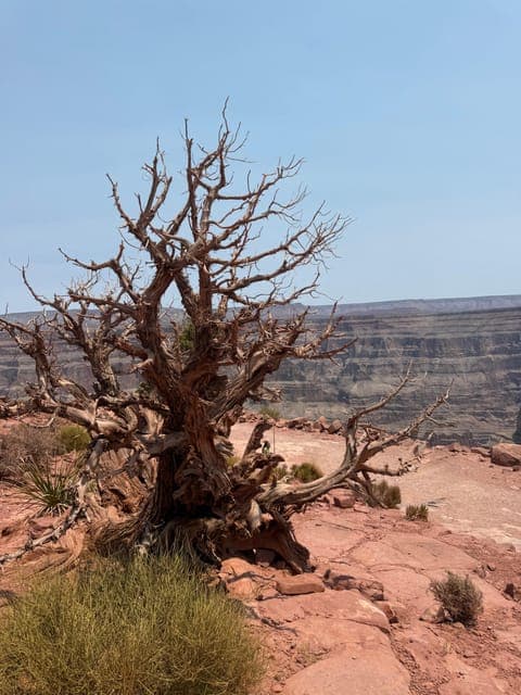 undefined Gallery Image 3