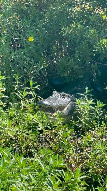 undefined Gallery Image 4