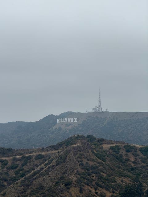 undefined Gallery Image 2