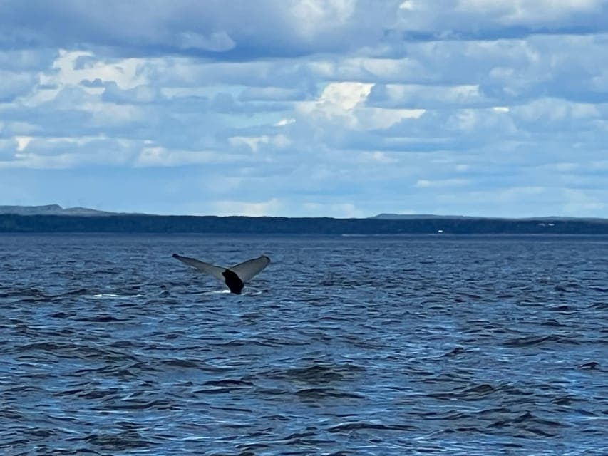 undefined Gallery Image 2