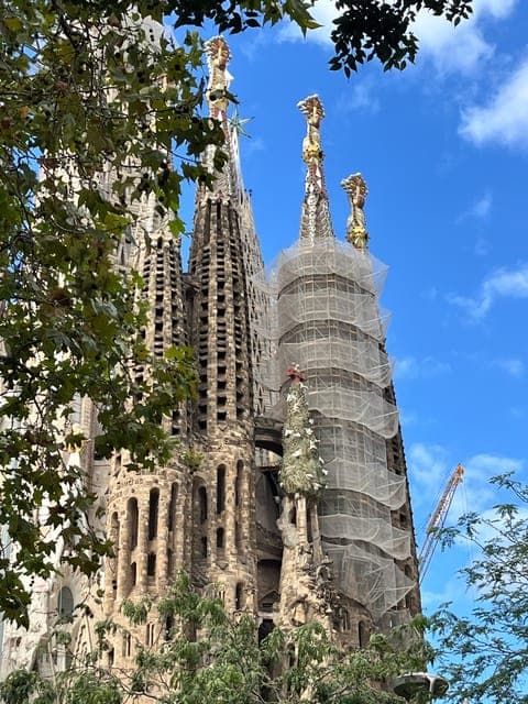 undefined Gallery Image 1