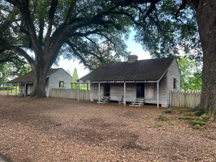 undefined Gallery Image 1