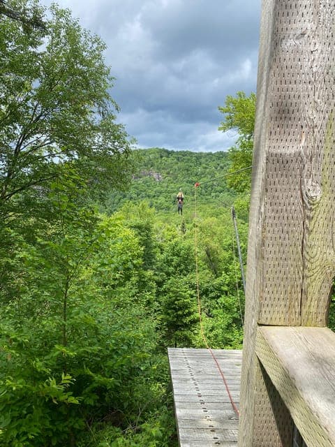 undefined Gallery Image 1