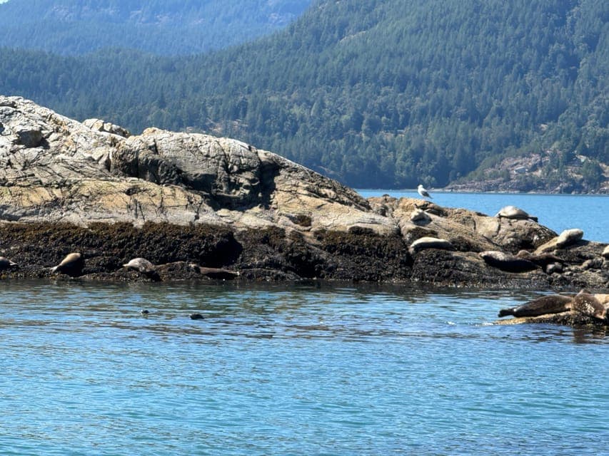 undefined Gallery Image 2