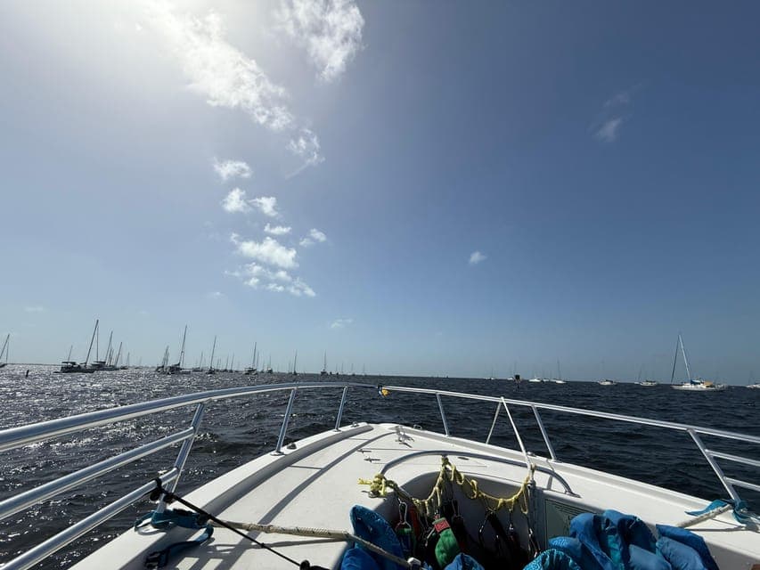 undefined Gallery Image 1