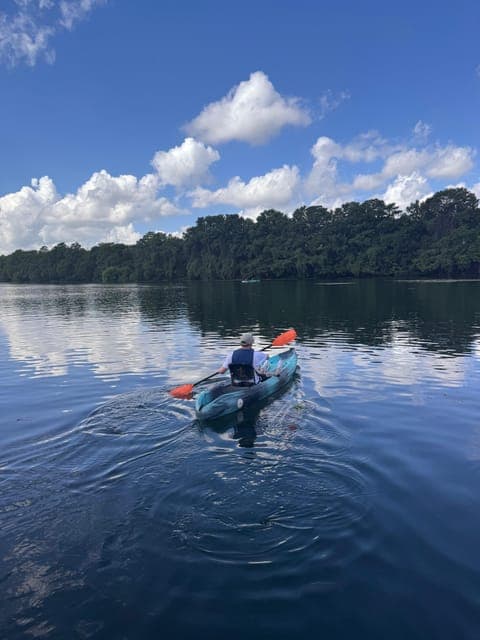 undefined Gallery Image 1