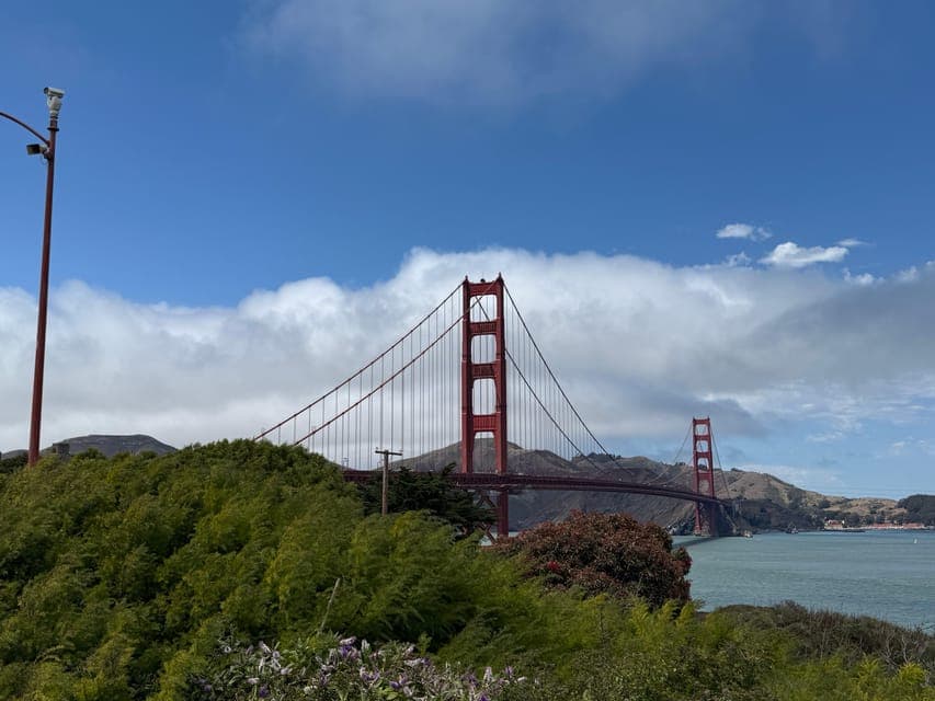 undefined Gallery Image 4