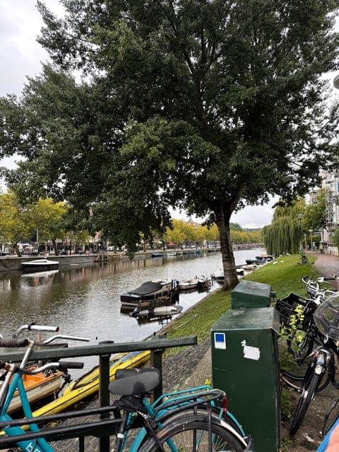 undefined Gallery Image 1