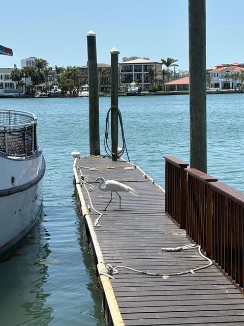 undefined Gallery Image 2