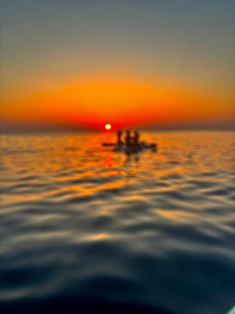 undefined Gallery Image 2