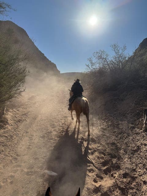 undefined Gallery Image 3