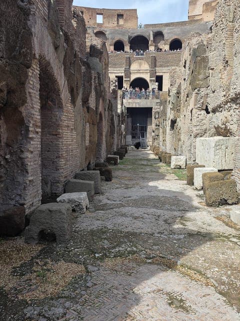 undefined Gallery Image 1