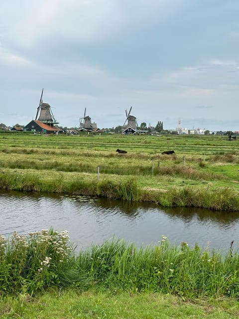 undefined Gallery Image 1