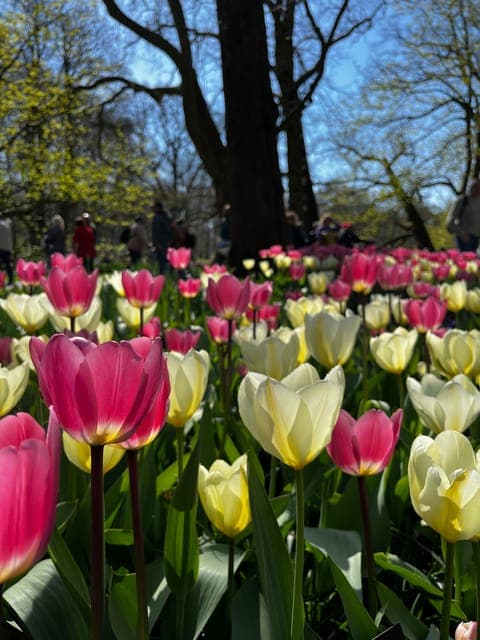 undefined Gallery Image 2