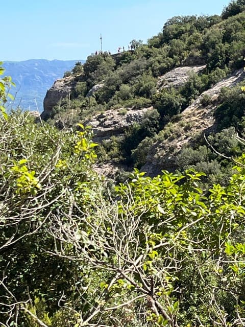 undefined Gallery Image 1