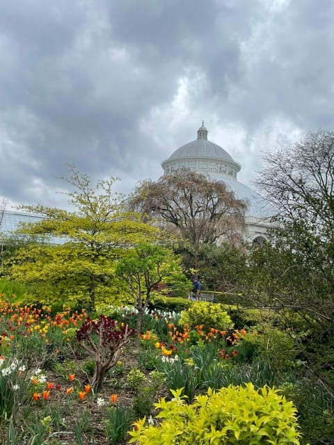 undefined Gallery Image 4