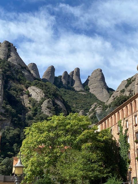 undefined Gallery Image 1