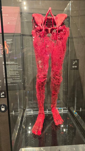 undefined Gallery Image 3