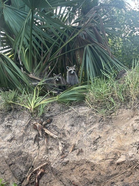 undefined Gallery Image 2