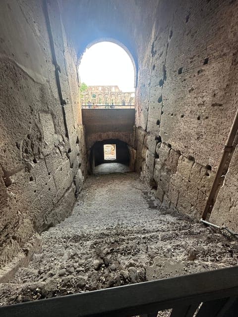 undefined Gallery Image 3