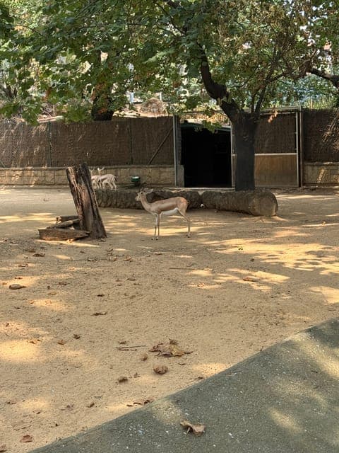 undefined Gallery Image 1