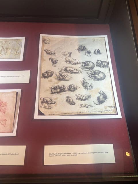 undefined Gallery Image 4