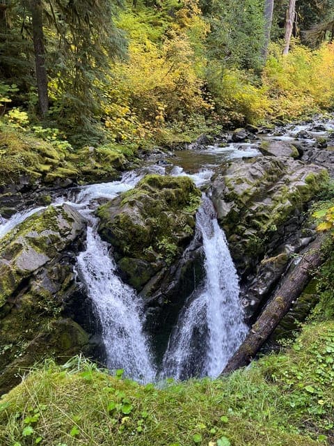 undefined Gallery Image 2