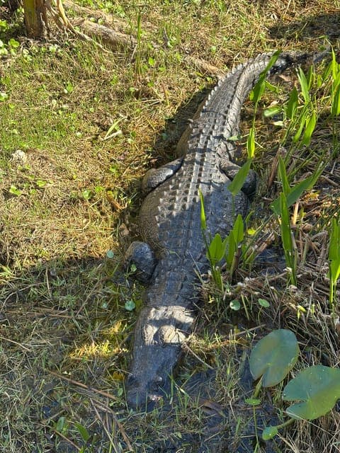 undefined Gallery Image 4