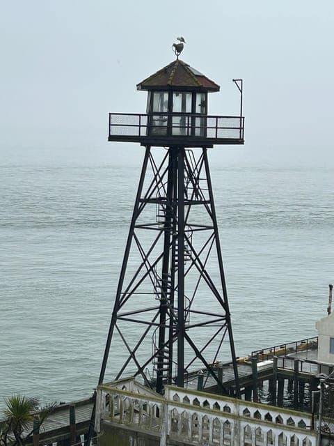 undefined Gallery Image 3