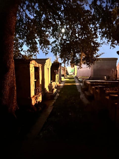 undefined Gallery Image 2