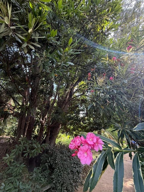 undefined Gallery Image 1