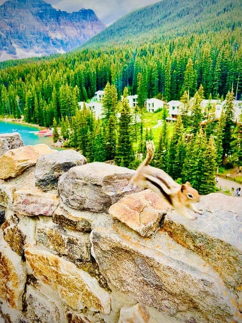 undefined Gallery Image 4