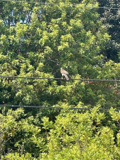 undefined Gallery Image 1