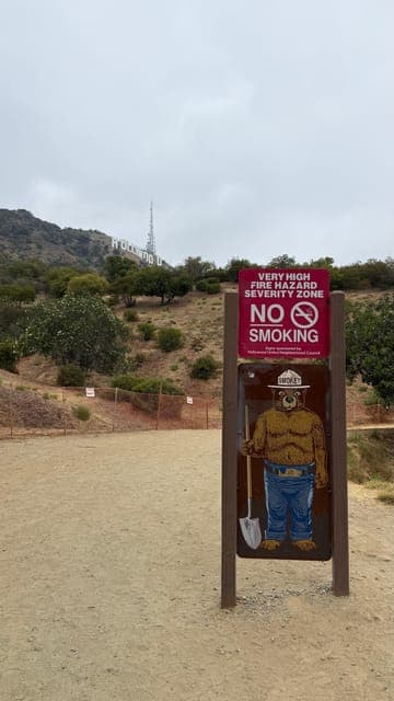 undefined Gallery Image 4