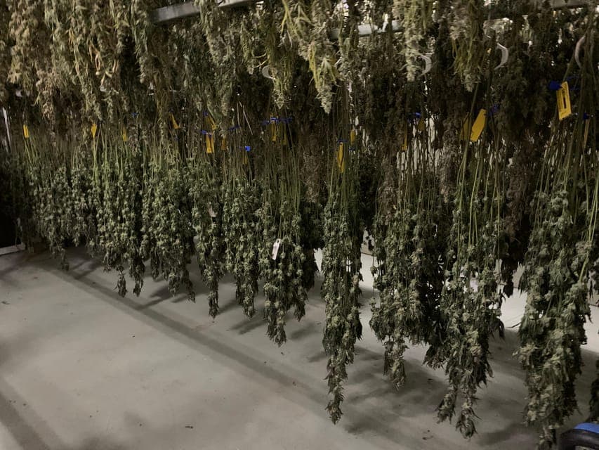 undefined Gallery Image 1