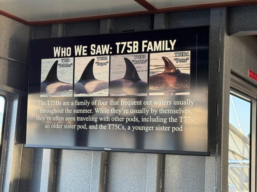 undefined Gallery Image 1