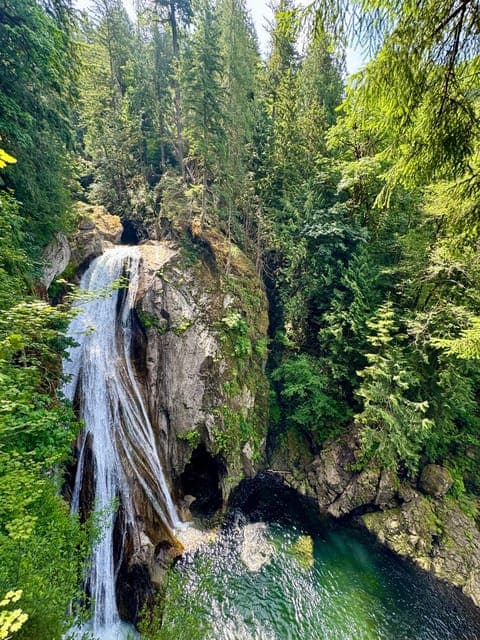 undefined Gallery Image 1