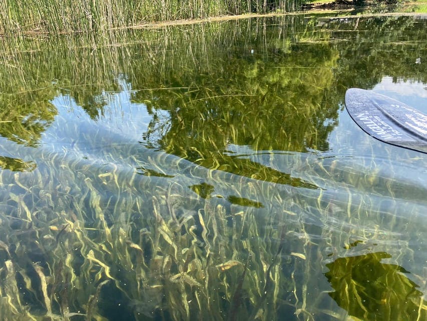 undefined Gallery Image 1