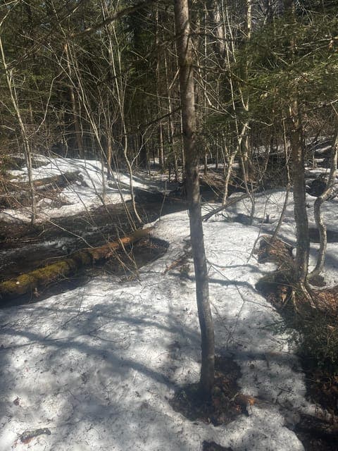 undefined Gallery Image 2