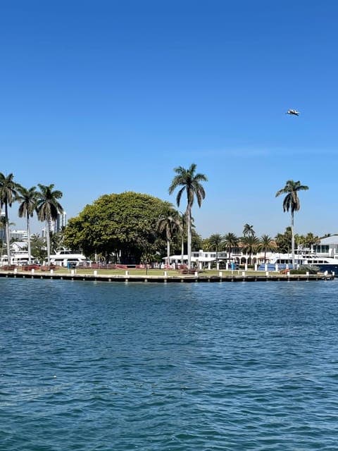 undefined Gallery Image 3